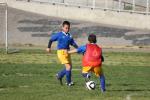 C-Elephants  0059_resize